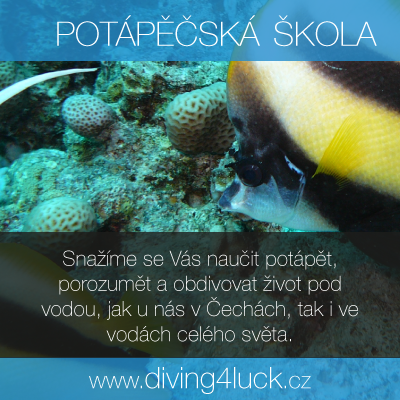 Diving4luck.cz